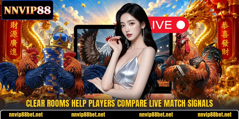 Clear rooms help players compare live match signals Clear rooms help players compare live match signals