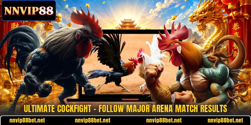 Ultimate Cockfight - Follow Major Arena Match Results